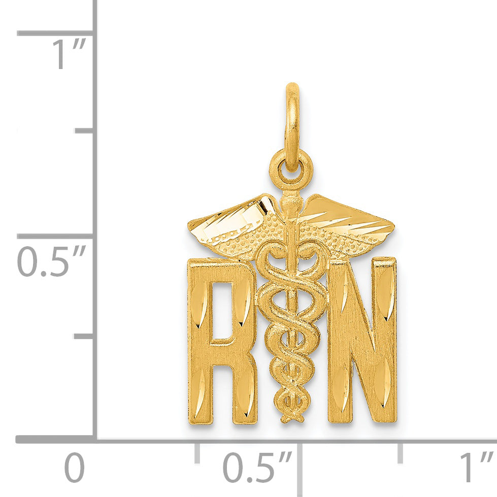 14k RN Nurse Charm