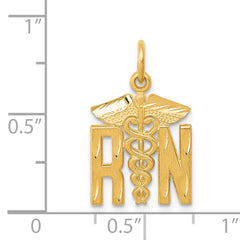 14k RN Nurse Charm