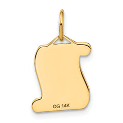 14k DIPLOMA Charm