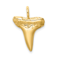 14K Shark Tooth Pendant