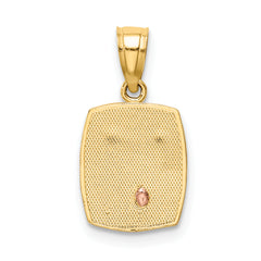 14K Two-tone w/White Rhodium Baptism Pendant