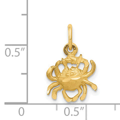 14K Gold Satin Diamond-Cut Cancer Zodiac Charm – Elegant and Themed Design