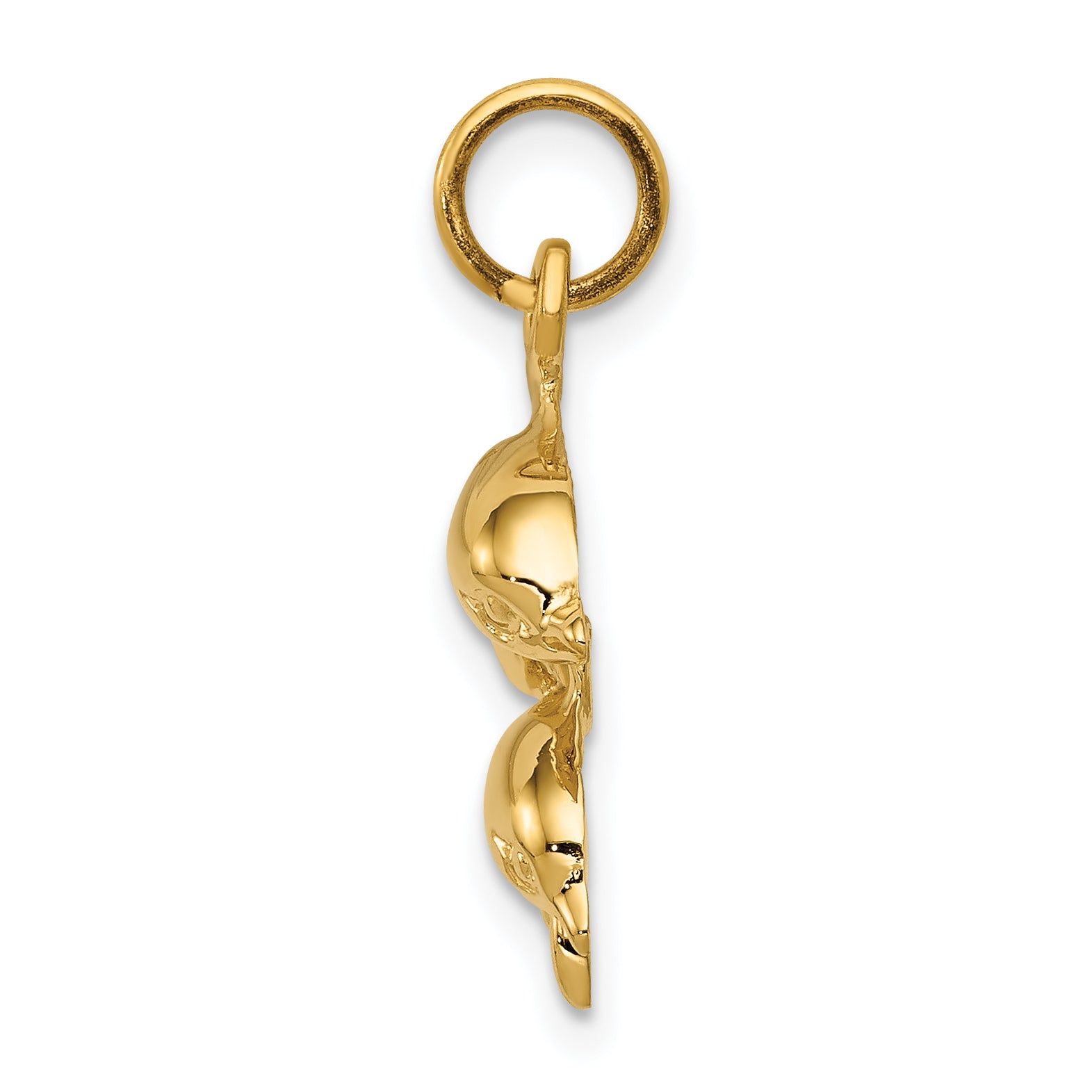 14k Dolphin Charm