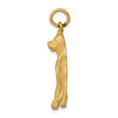 14k Yellow Gold Solid Polished Boxer Charm