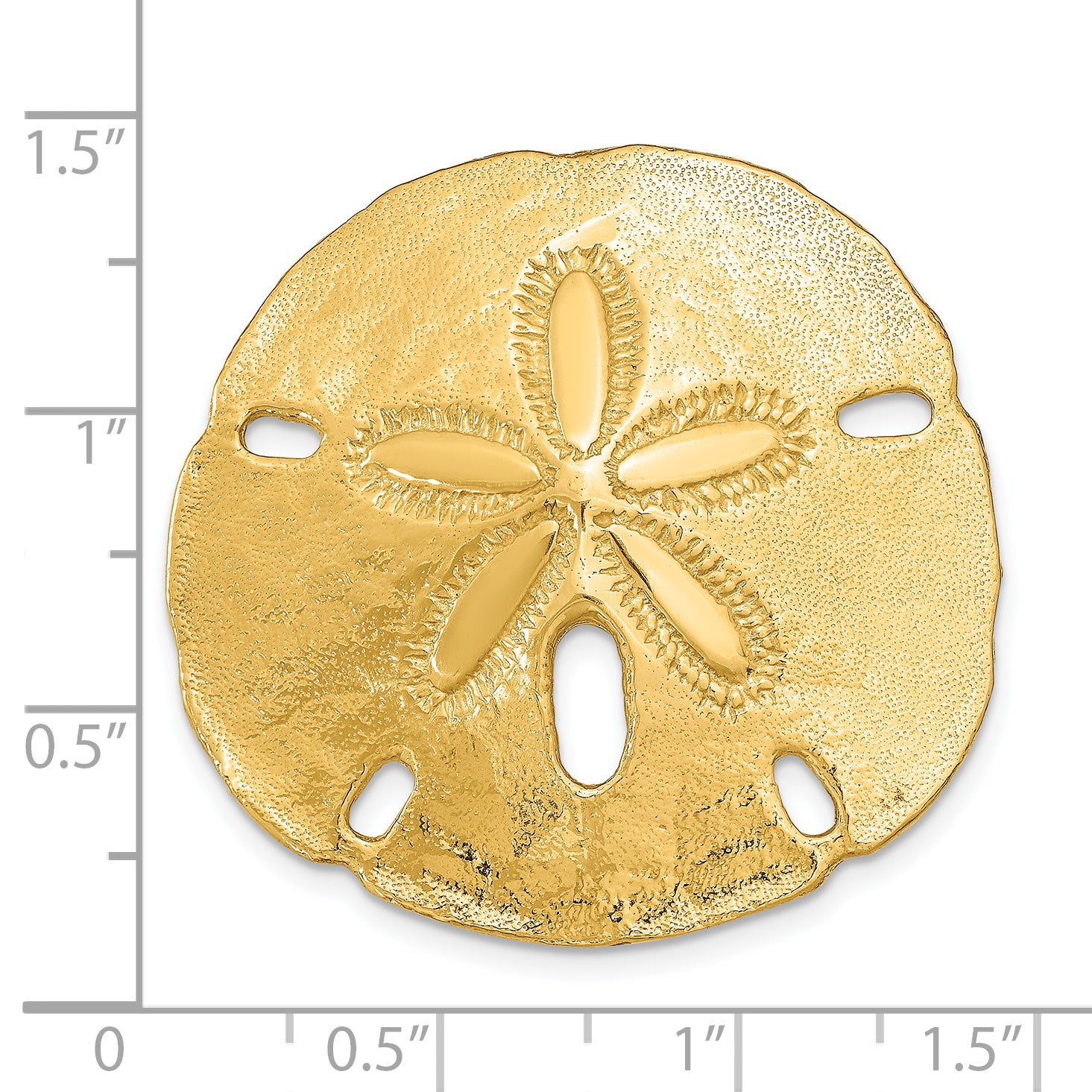 14K Gold Sand Dollar Slide Pendant Fits 8mm & 10mm Omega, Polished Finish