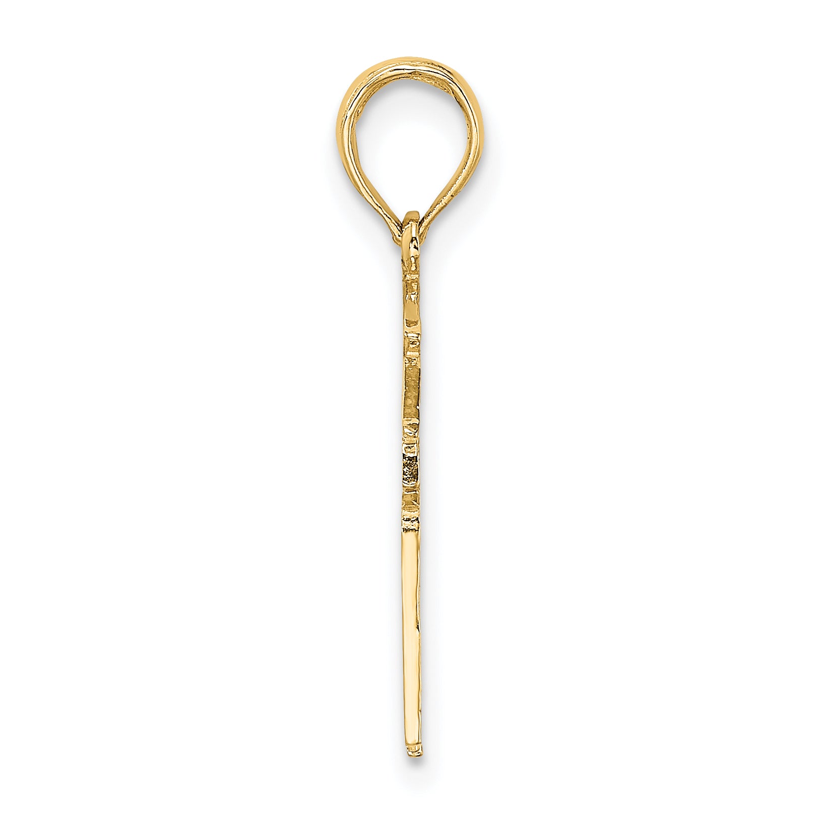 14k Registered Nurse Charm