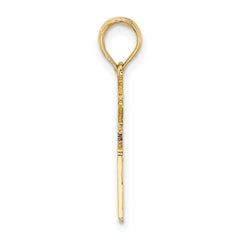 14k Registered Nurse Charm