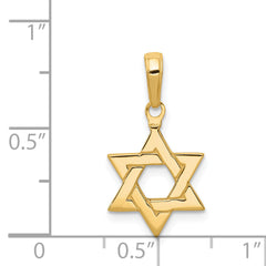 14k Polished Star of David Pendant