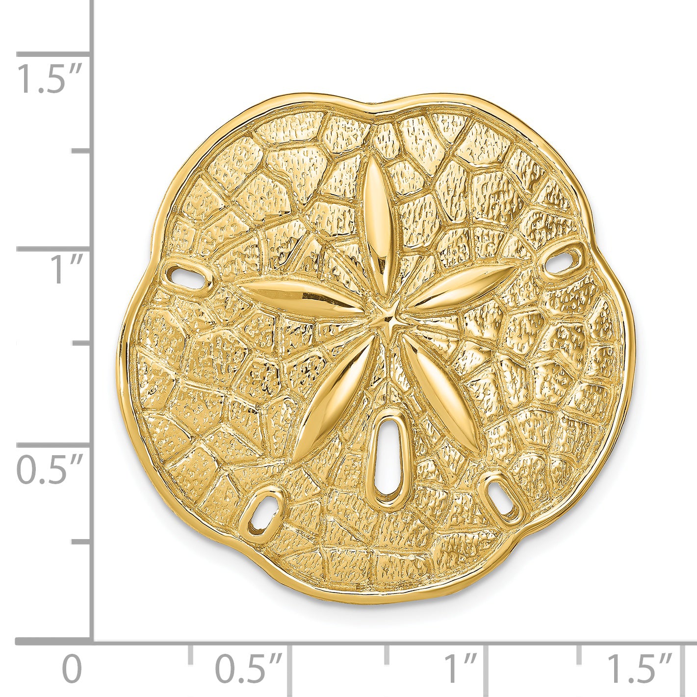 14k Sand Dollar Slide