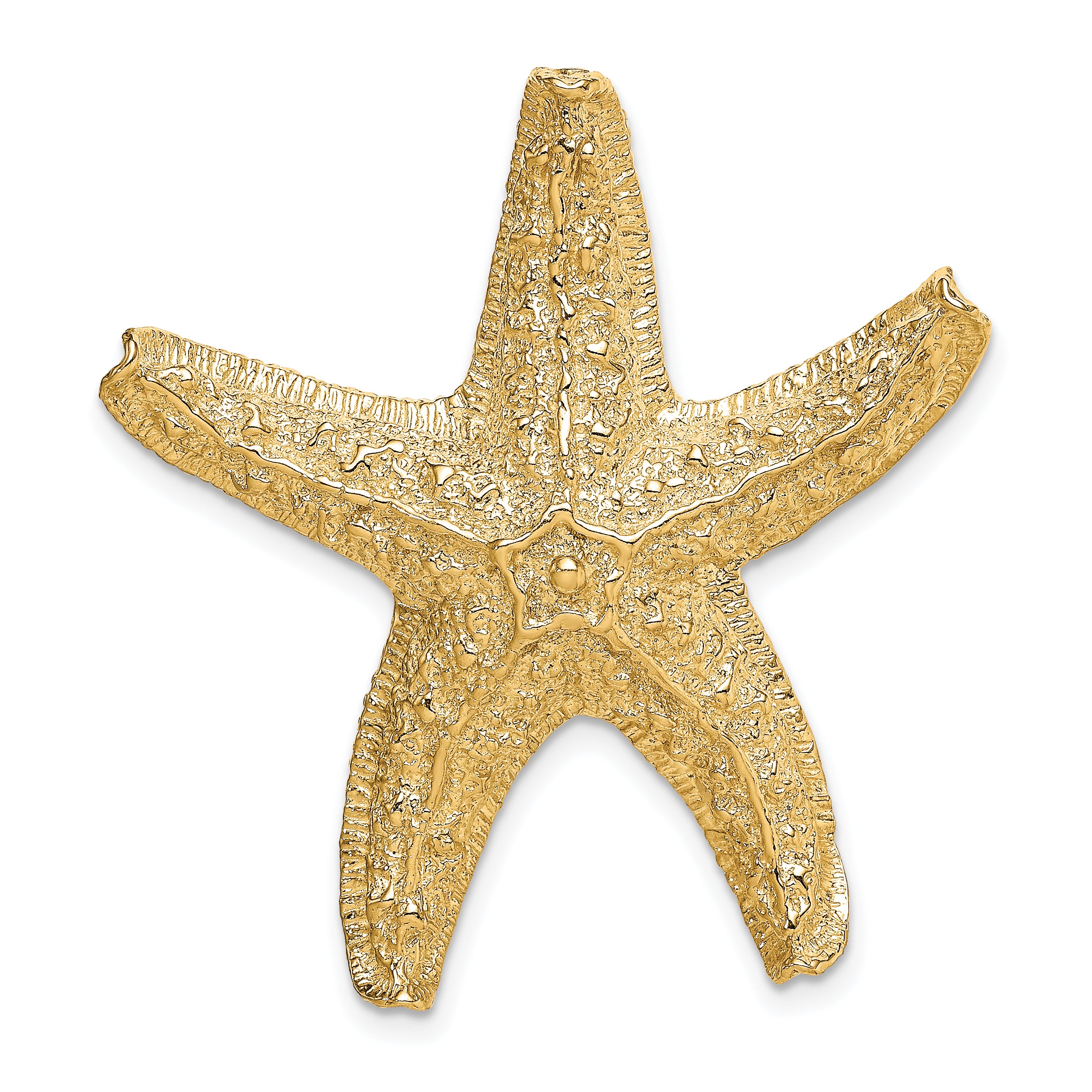 14k Starfish Slide