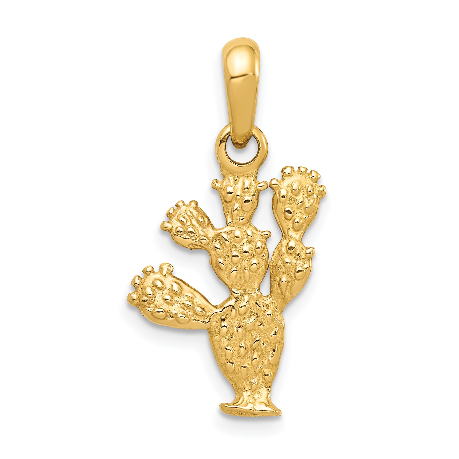 14K Gold 3D Cactus Pendant with Polished Finish for Men