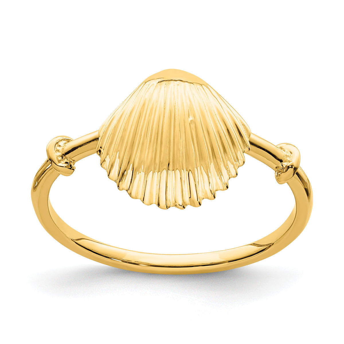 14K Polished Shell Ring