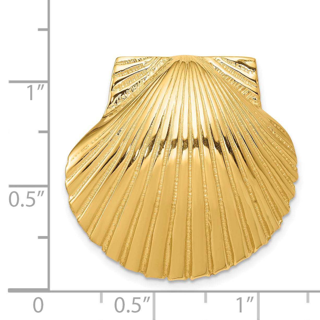 14K Fits Up To 8mm and 10mm Medium Scallop Shell Slide