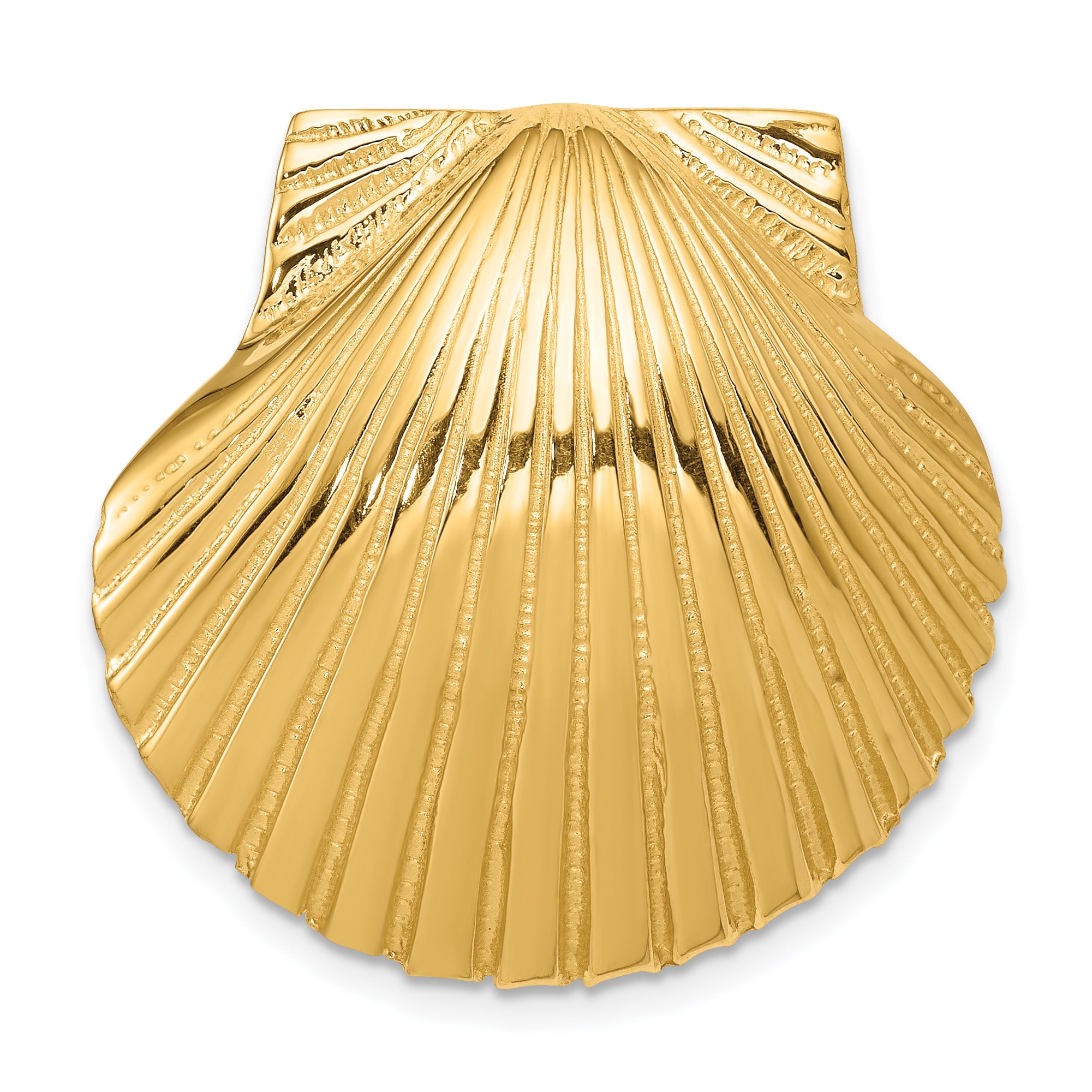 14K Fits Up To 8mm and 10mm Medium Scallop Shell Slide