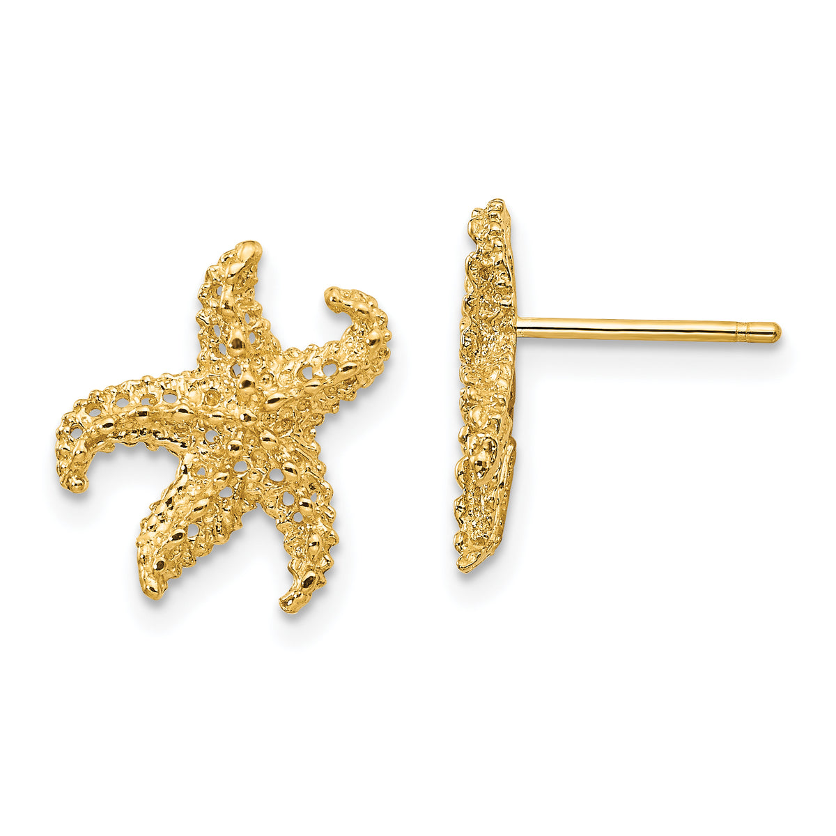 14k Starfish Earrings