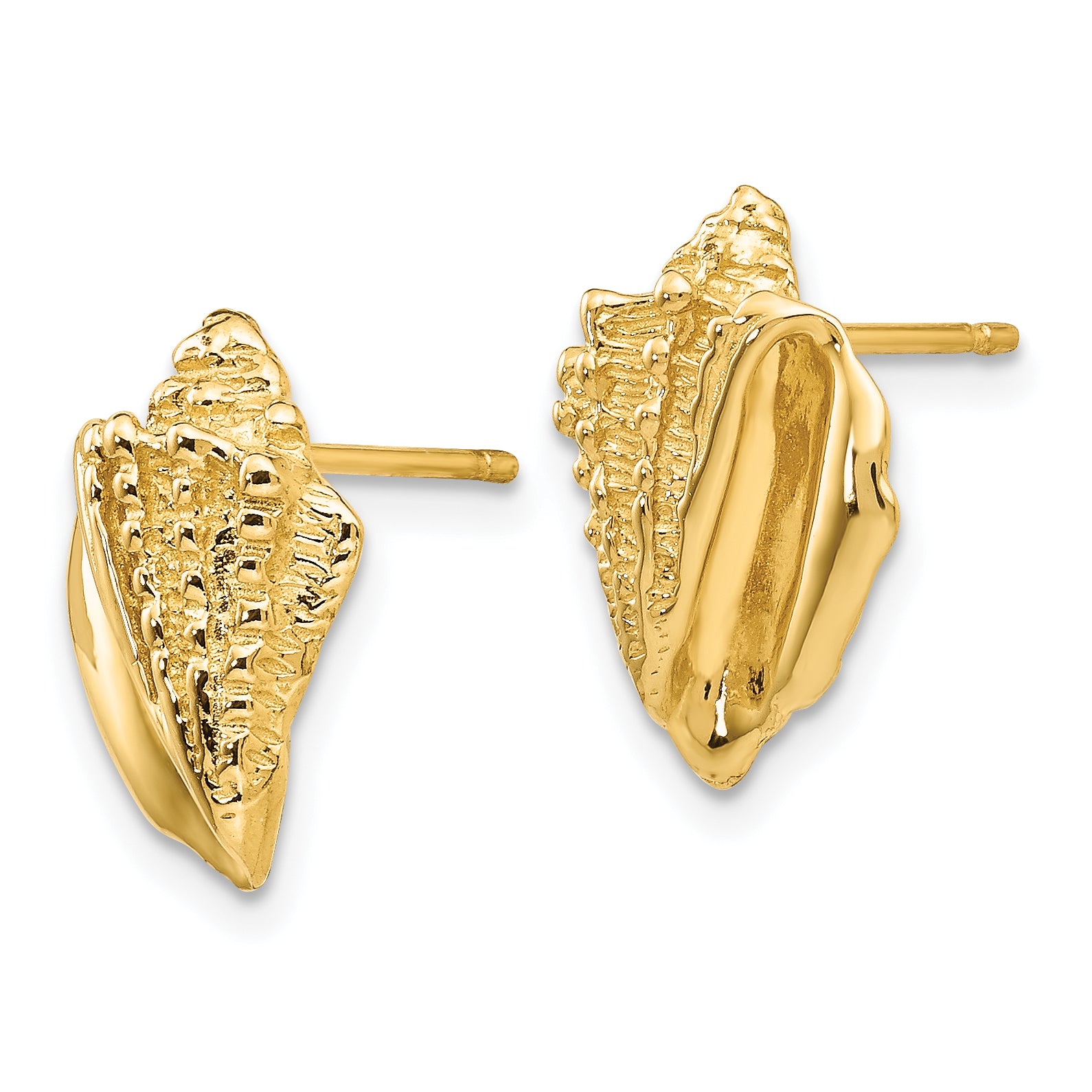 14K Gold Conch Shell Earrings with Solid Casted Design for Women