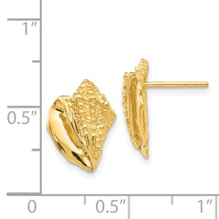 14K Gold Conch Shell Earrings with Solid Casted Design for Women