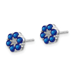 10k White Gold Polished Sapphire and Diamond Post Earrings