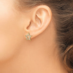 14K Lab Grown Diamond SI1/SI2, G H, Star Post Earrings