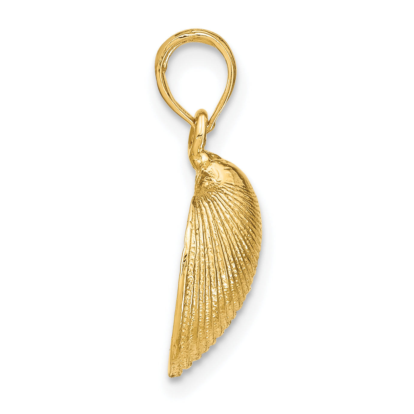 14k Medium Clam Shell Pendant