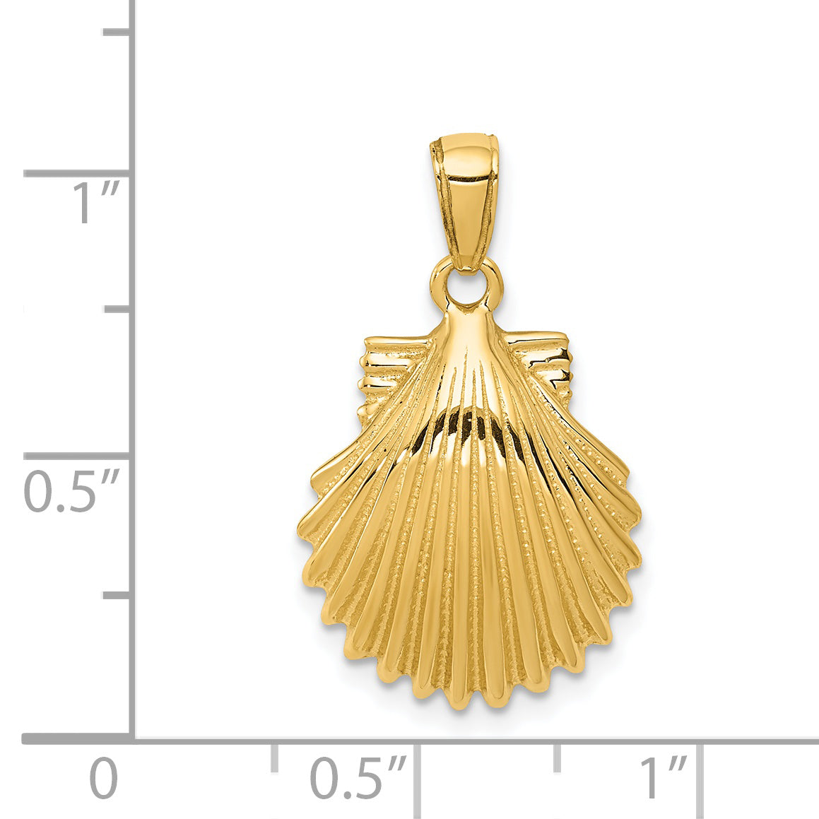 14k Scallop Shell Pendant