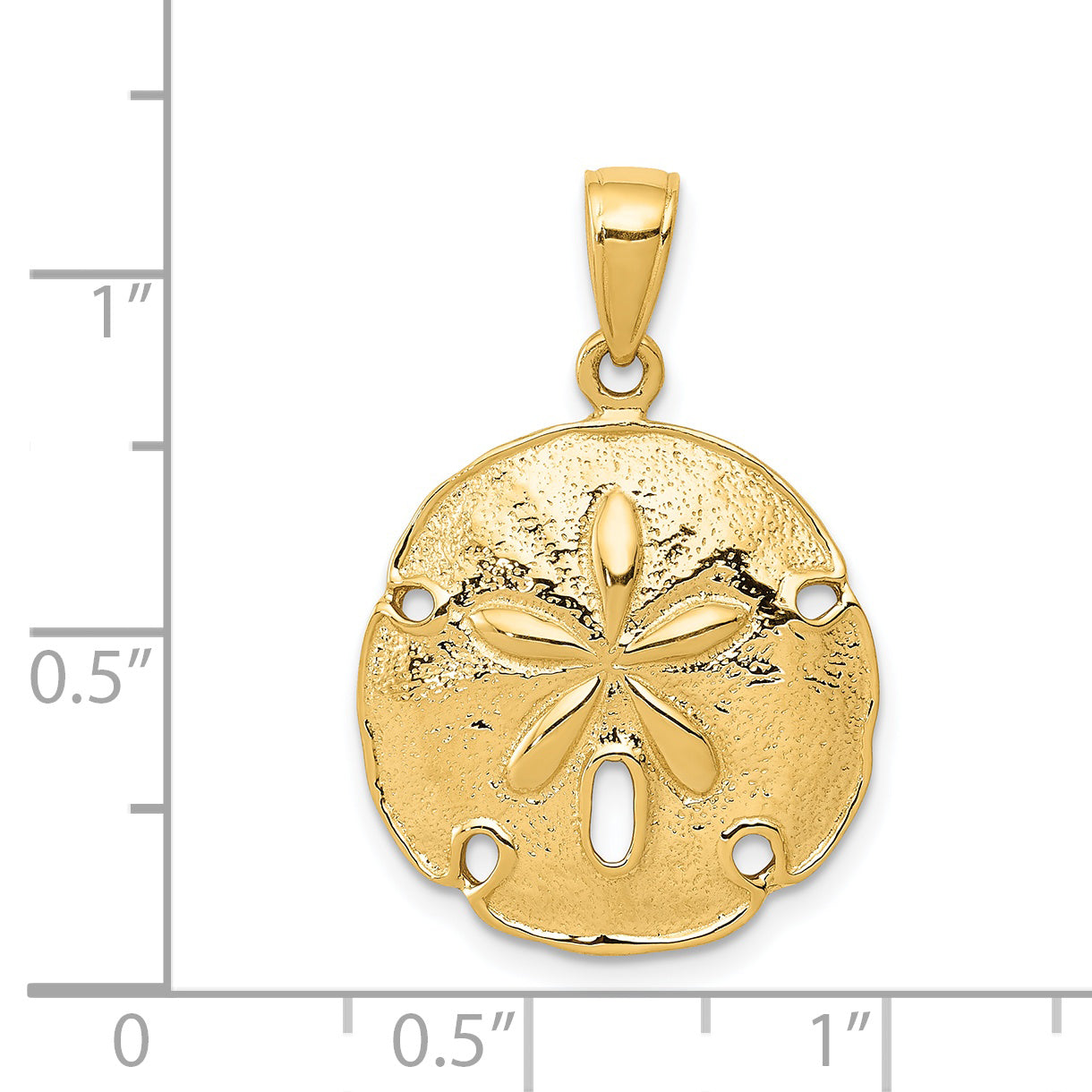 14K Gold Sand Dollar Pendant  Polished, Textured Design for Men