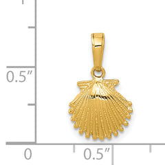 14k Scallop Shell Pendant