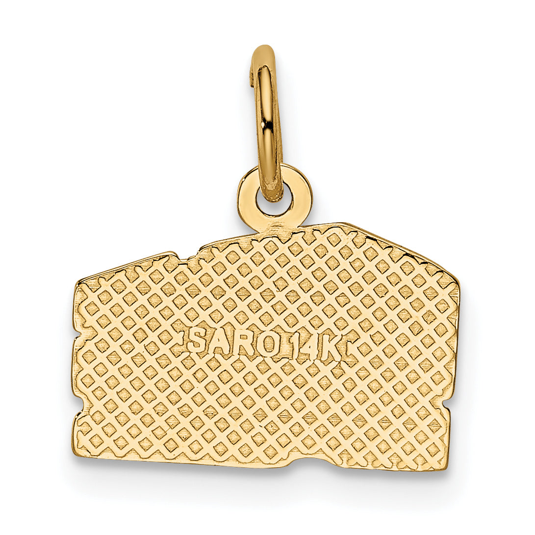 14k Swiss Cheese Charm