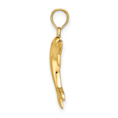 14k Polished Dolphin Charm