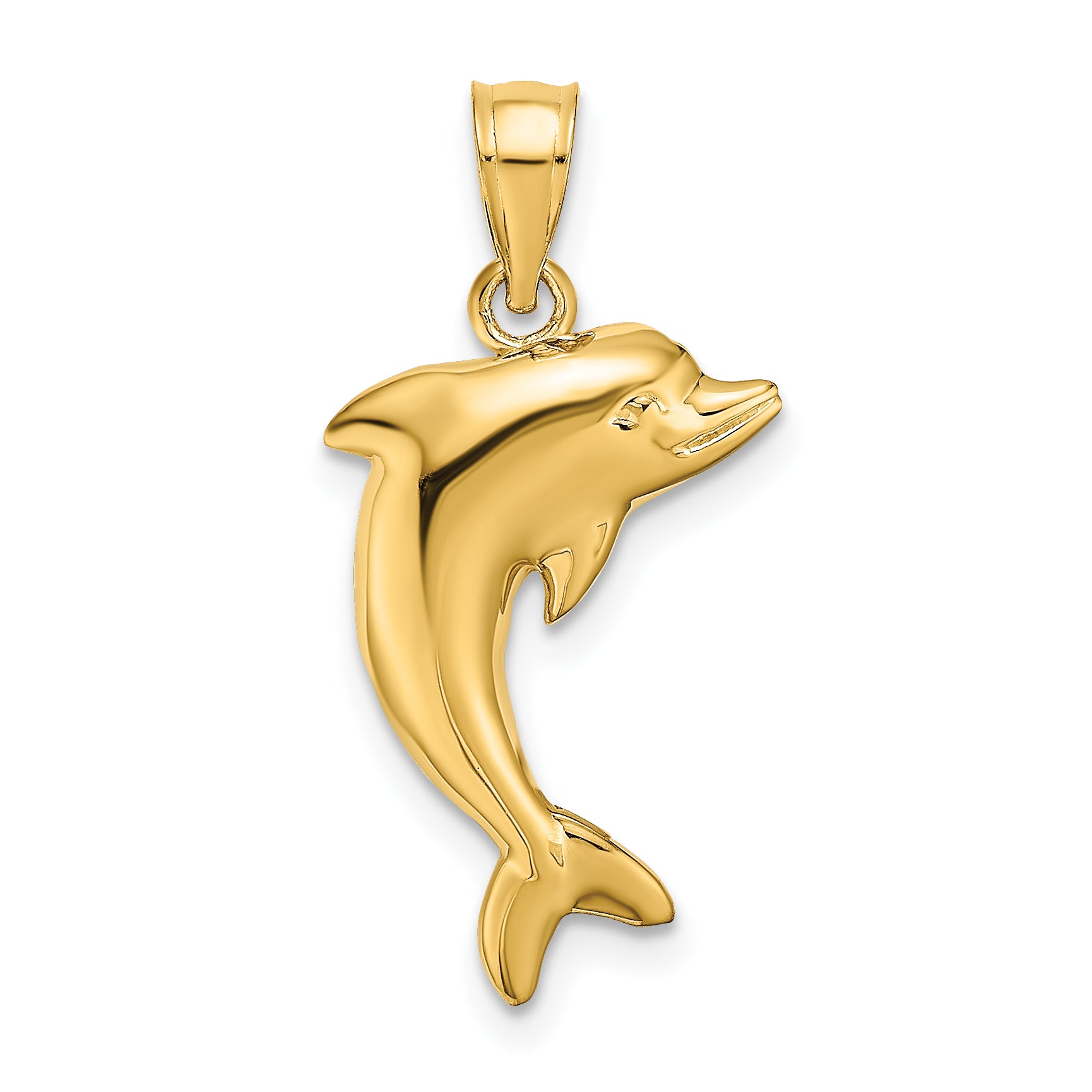 14k Polished Dolphin Charm