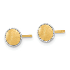 14K with White Gold Accent Brushed Post Earrings