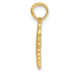 14K Gold Polished Break Apart He Who Holds the Key Charms