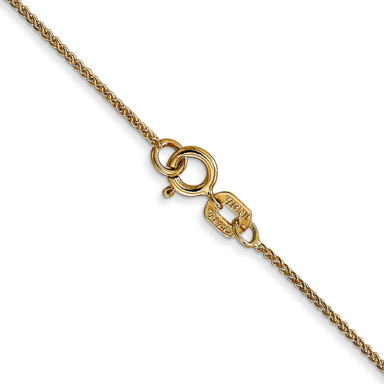 14K Gold Spiga Chain Necklace with Polished Finish for Women