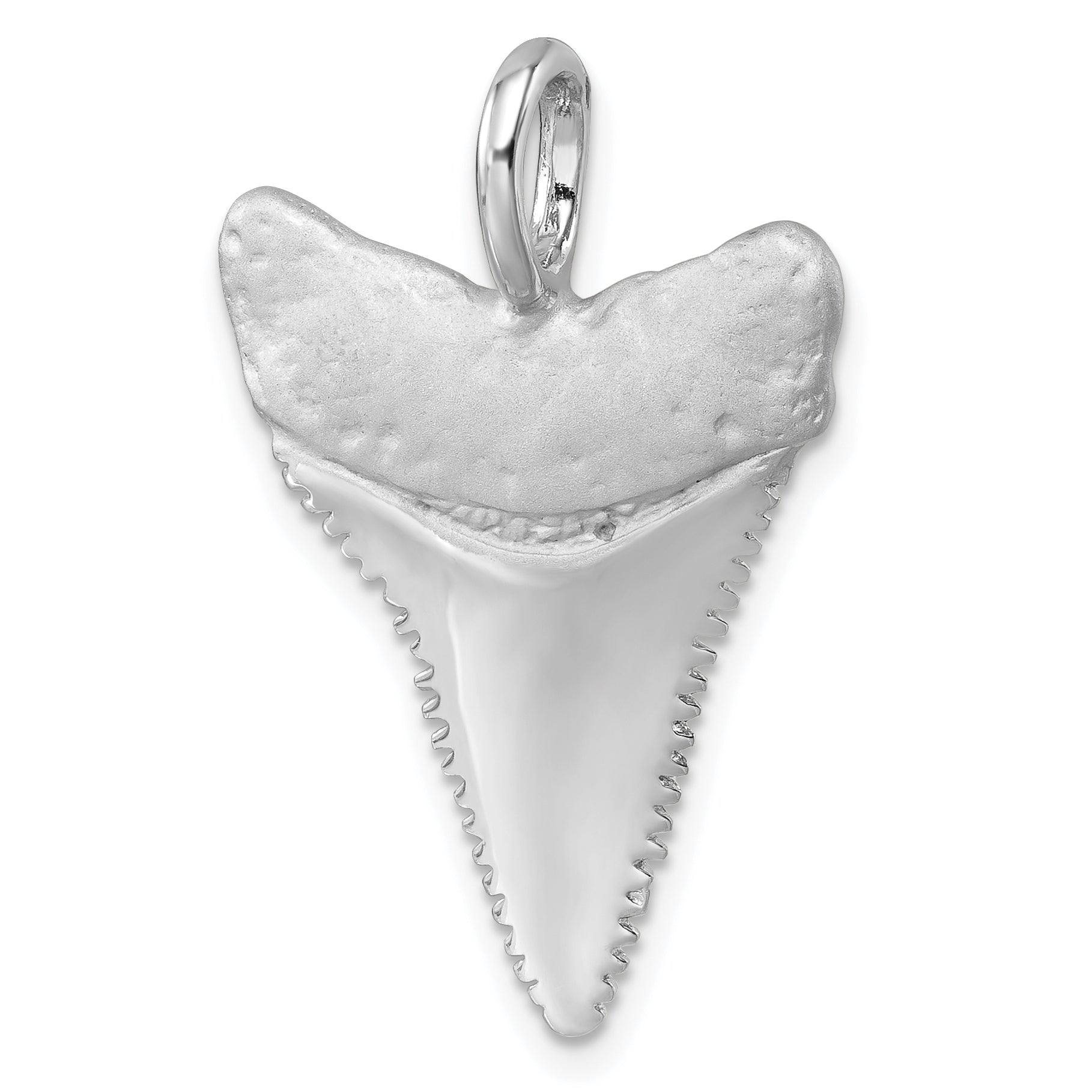 Sterling Silver Rhodium-Plated Brushed & Polished Great White Shark Tooth Pendant