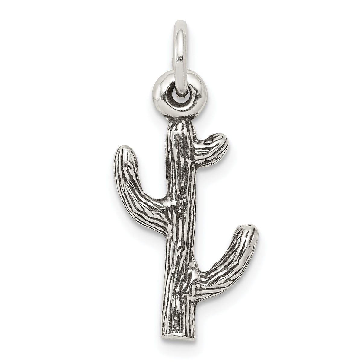 Sterling Silver Antiqued Cactus Charm