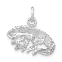 Sterling Silver Polished & Textured Iguana Pendant