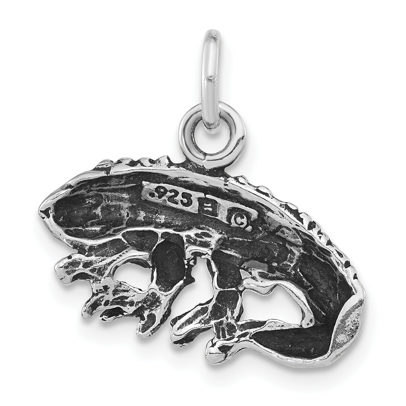 Sterling Silver Antiqued & Textured Iguana Pendant