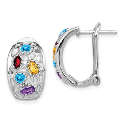 SS Rhodium-plated Amethyst/Blue Topaz/Garnet/Citrine Omega Back Earrings