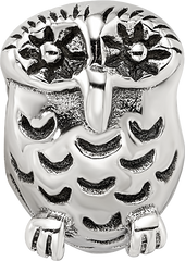 Sterling Silver Reflections Owl Bead