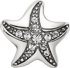 Sterling Silver Reflections Crystal Starfish Bead