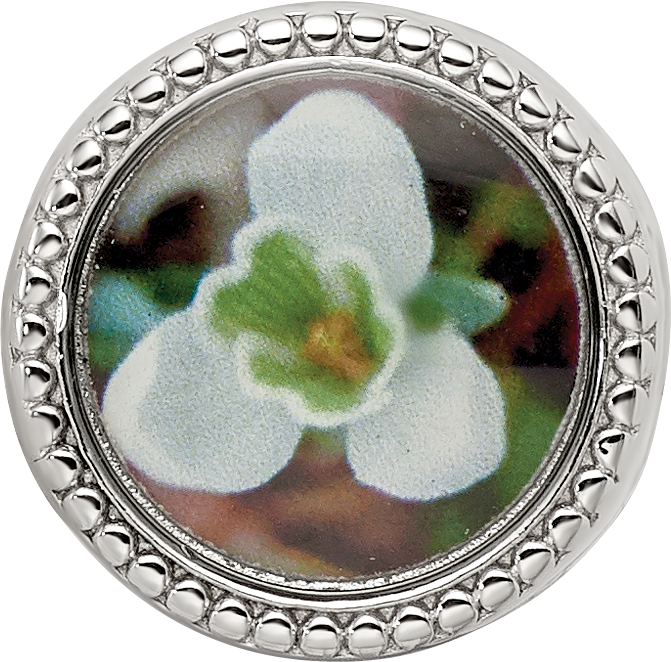 Sterling Silver Reflections Rhodium-plated January Flower Bead