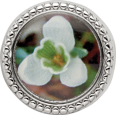 Sterling Silver Reflections Rhodium-plated January Flower Bead