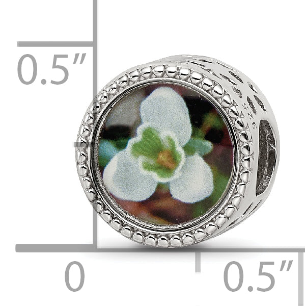 Sterling Silver Reflections Rhodium-plated January Flower Bead