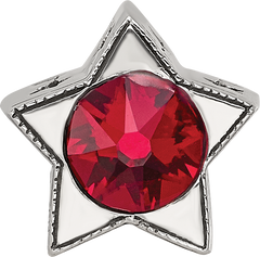 Sterling Silver Reflections Preciosa Crystal Jan. Birthstone Star Bead