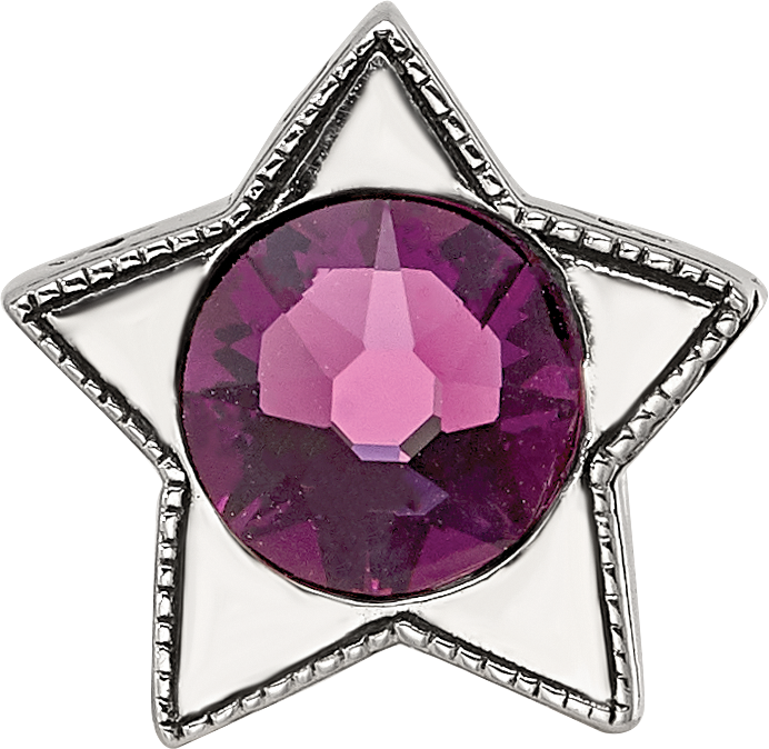 Sterling Silver Reflections Preciosa Crystal Febuary Birthstone Star Bead