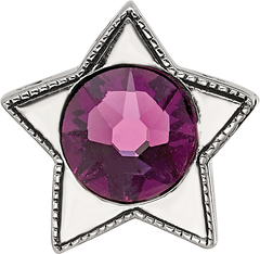 Sterling Silver Reflections Preciosa Crystal Febuary Birthstone Star Bead