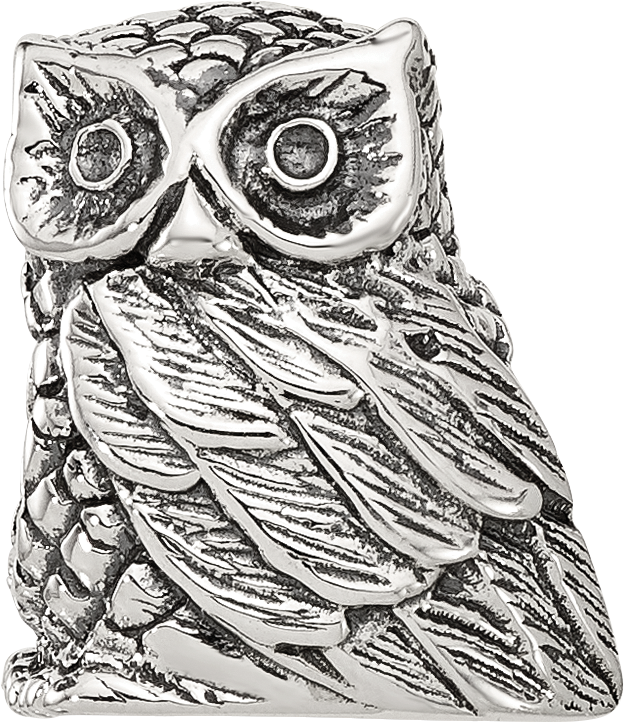 Sterling Silver Reflections Polished Owl Bead