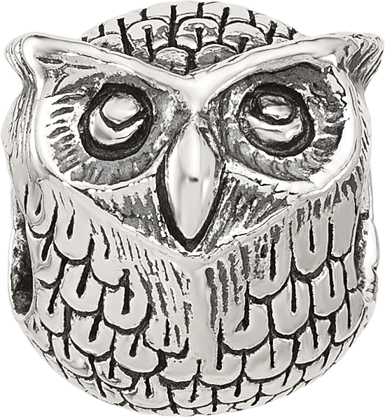 Sterling Silver Reflections Antiqued Owl Bead