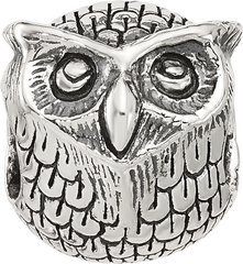 Sterling Silver Reflections Antiqued Owl Bead