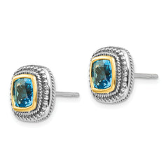 Sterling Silver 14K Accent Blue Topaz Earrings for Women